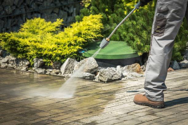 Best Roof Washing  in Maywood, NJ